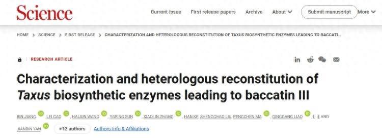 深圳科学家领衔破解世界级难题!紫杉醇生物合成领域取得重要突破(图1)