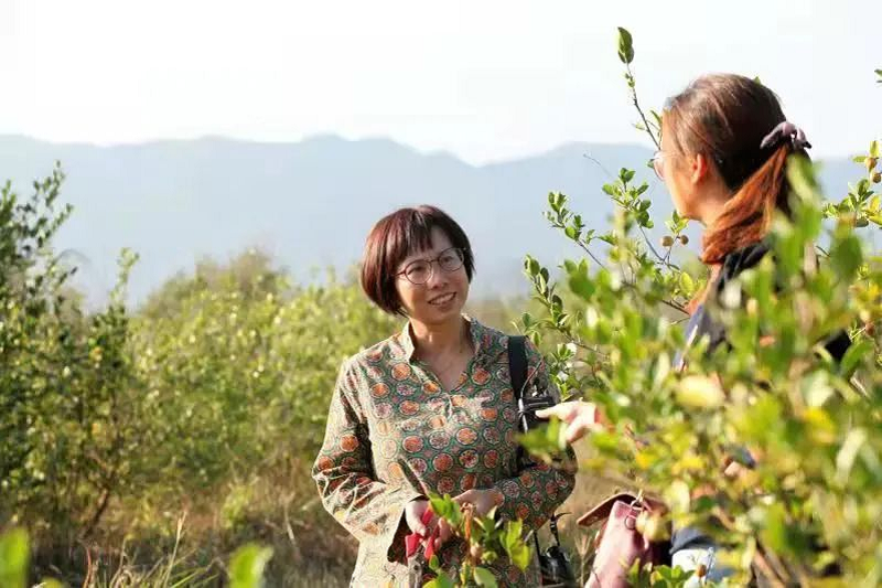 永泰:专家组团“把脉开方” 解锁振兴“绿色密码”(图7)