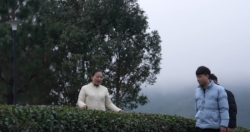 永泰:专家组团“把脉开方” 解锁振兴“绿色密码”(图1)