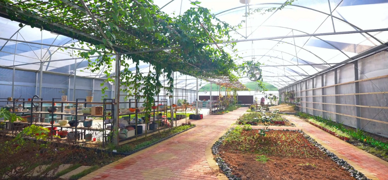 永泰:专家组团“把脉开方” 解锁振兴“绿色密码”(图4)