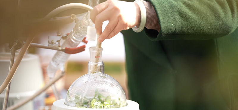 永泰:专家组团“把脉开方” 解锁振兴“绿色密码”(图6)