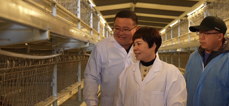 永泰:专家组团“把脉开方” 解锁振兴“绿色密码”(图9)