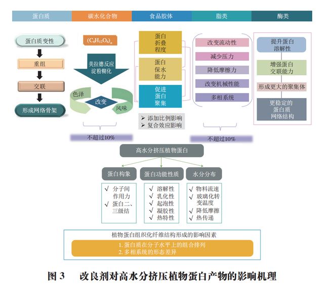 《食品科学》:哈尔滨商业大学朱秀清教授等:改良剂对高水分挤压植物蛋白产物品质调控的研究进展(图5)