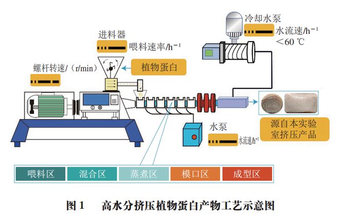 《食品科学》:哈尔滨商业大学朱秀清教授等:改良剂对高水分挤压植物蛋白产物品质调控的研究进展(图2)