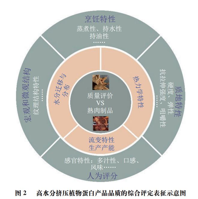 《食品科学》:哈尔滨商业大学朱秀清教授等:改良剂对高水分挤压植物蛋白产物品质调控的研究进展(图3)