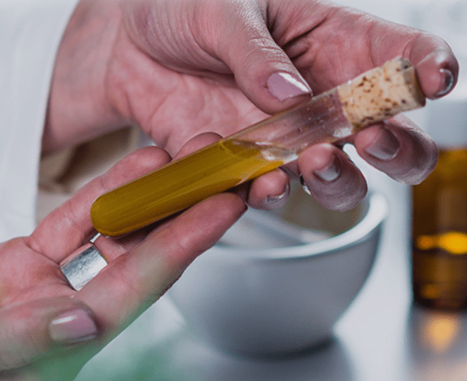 植物提取物种类繁多应用也非常广泛!你了解吗?(图1)