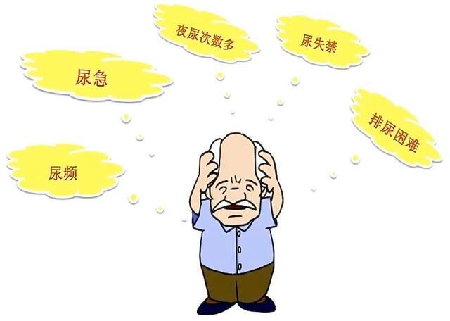 助力“男言之隐”的植物制剂:锯叶棕果实提取物(图3)