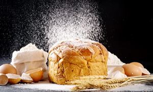 2023年制药机械及设备市场投资前景分析(图5)