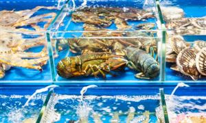 2023制药机械及设备行业深度调研及发展研究报告(图7)