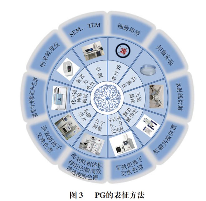 《食品科学》:河北农业大学马倩云副教授等:植物糖原的提取纯化、结构修饰及应用研究进展(图5)