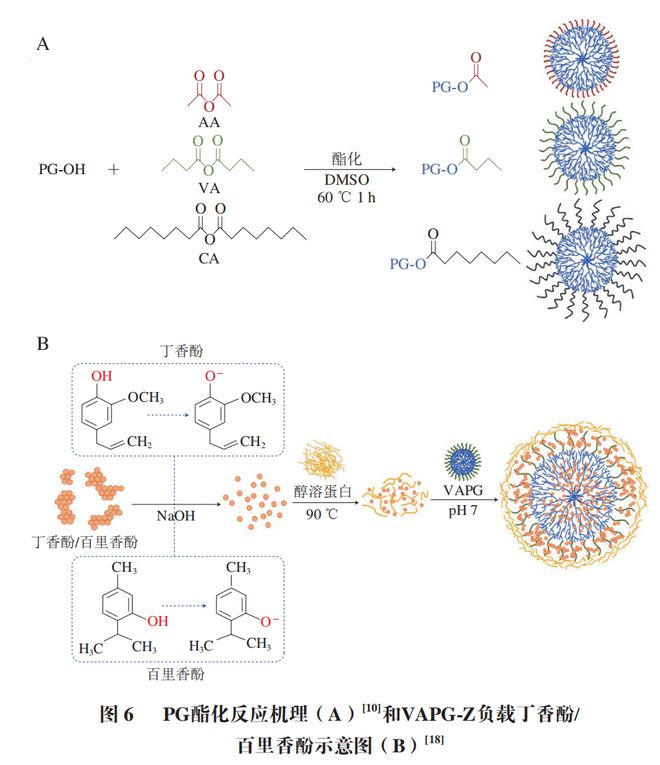 《食品科学》:河北农业大学马倩云副教授等:植物糖原的提取纯化、结构修饰及应用研究进展(图9)