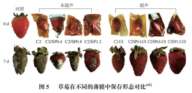 《食品科学》:河北农业大学马倩云副教授等:植物糖原的提取纯化、结构修饰及应用研究进展(图7)