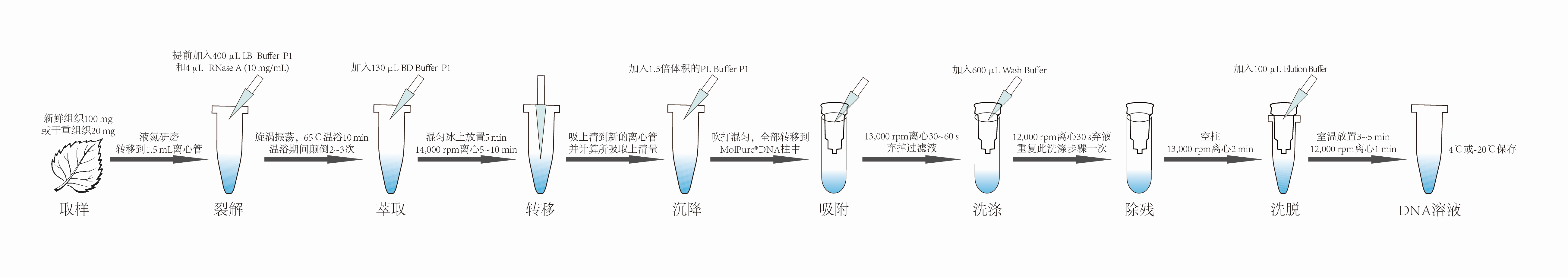 植物DNA提取试剂盒(图1)