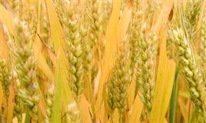 2022制药机械及设备行业市场前景及现状分析(图7)