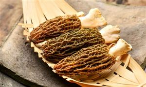 2023年中国制药机械装备行业发展现状及未来发展趋势分析(图4)